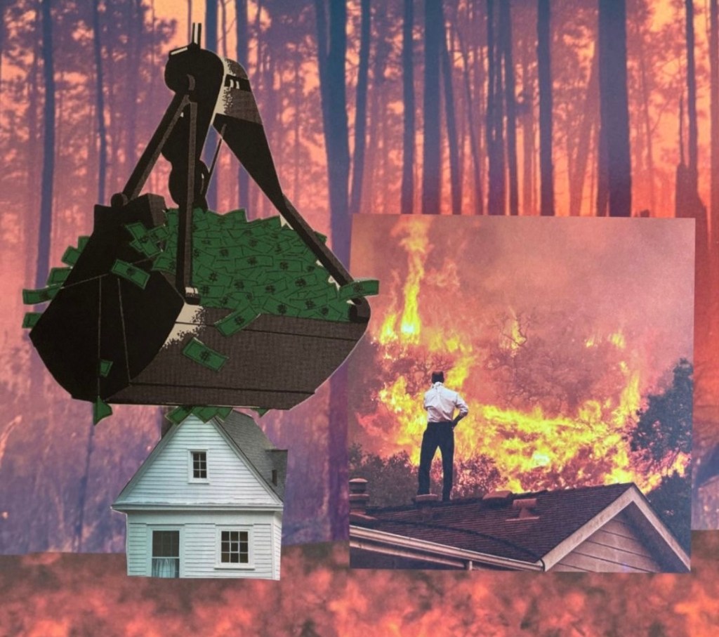 LA Fires: How did we get here, & what can we do about it?