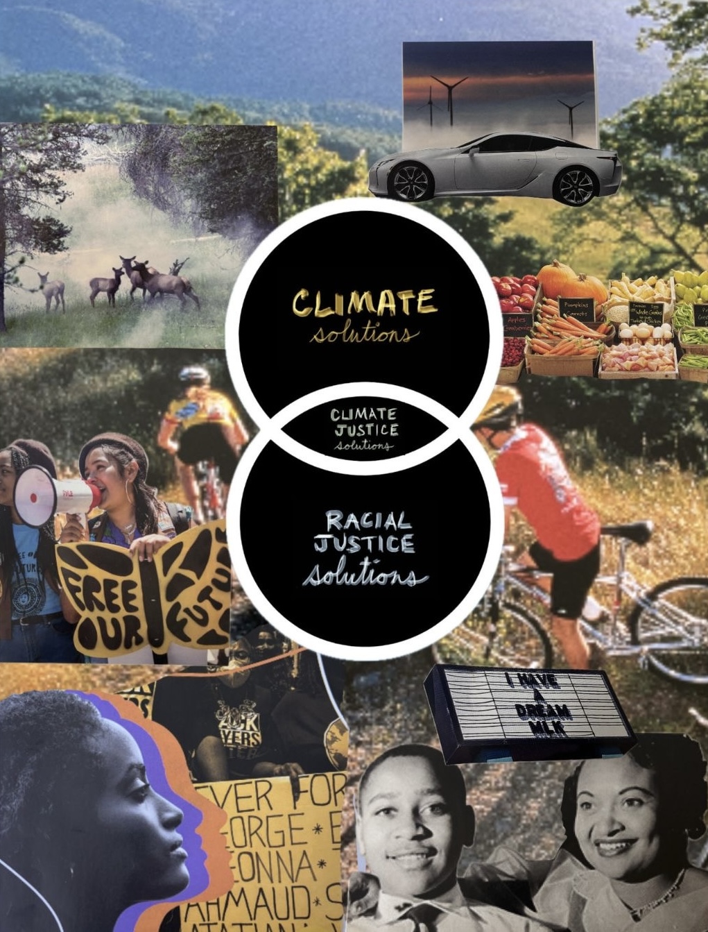 Climate, as a Racial Justice Solution